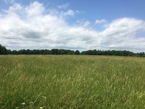 4897 & 4878 Norman Drive, Hartville, MO 65667